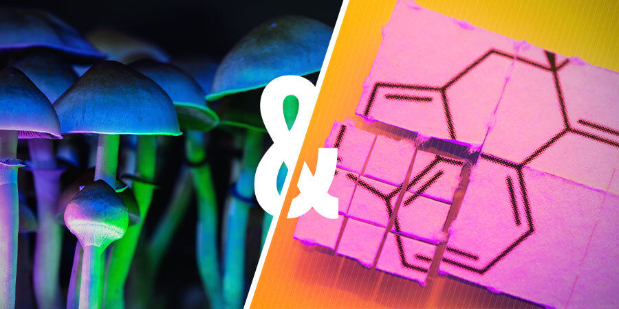 Kan du kombinere magiske svampe og LSD? Kan du kombinere magiske svampe og LSD?