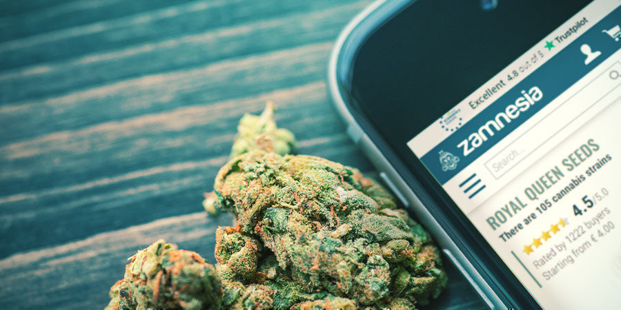 Prøv nye RQS-cannabissorter hos Zamnesia! Prøv nye RQS-cannabissorter hos Zamnesia!
