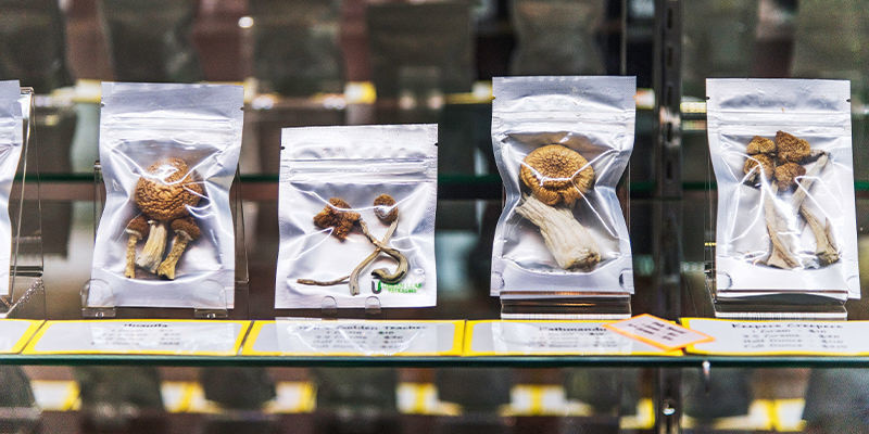 Pris og tilgængelighed af friske og tørrede psilocybin-svampe Pris og tilgængelighed af friske og tørrede psilocybin-svampe
