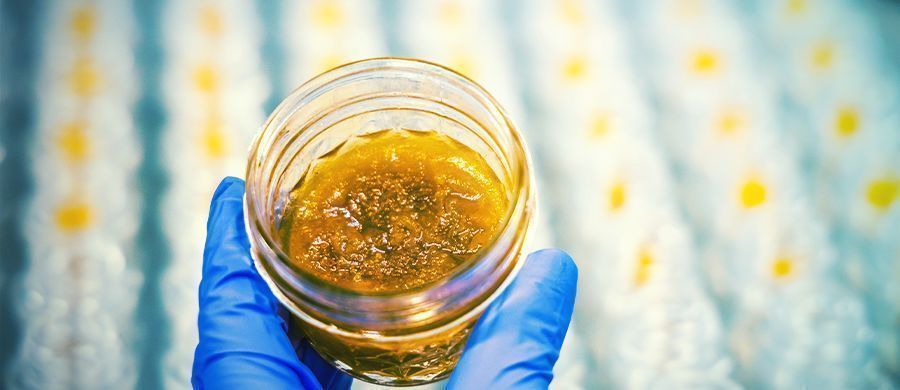 r/dabs: Diskussion af dabs og cannabisekstrakter r/dabs: Discussion of Dabs and Cannabis Extracts