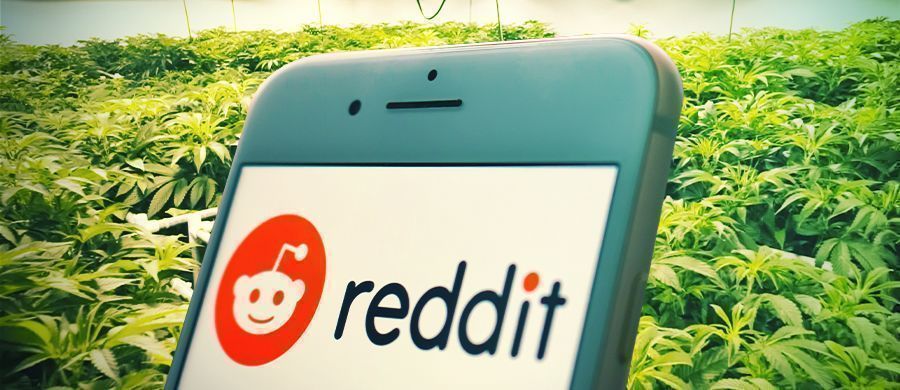 Hvorfor og hvordan stoners kan bruge Reddit som en ressource til cannabisinfo Hvorfor og hvordan stoners kan bruge Reddit som en ressource til cannabisinfo