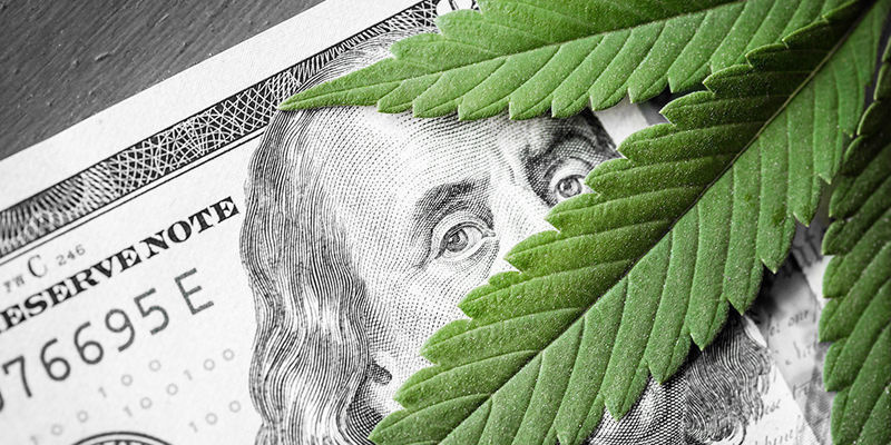 Er det værd at arbejde i cannabisindustrien? Er det værd at arbejde i cannabisindustrien?