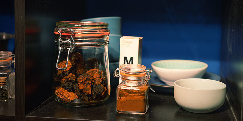 Sådan opbevarer du chaga Sådan opbevarer du chaga