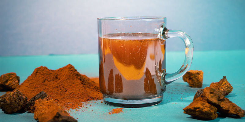 Sådan bruger du chaga Sådan bruger du chaga
