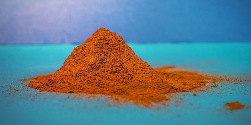 Pulveriseret chaga — pulver eller ekstrakt Pulveriseret chaga — pulver eller ekstrakt