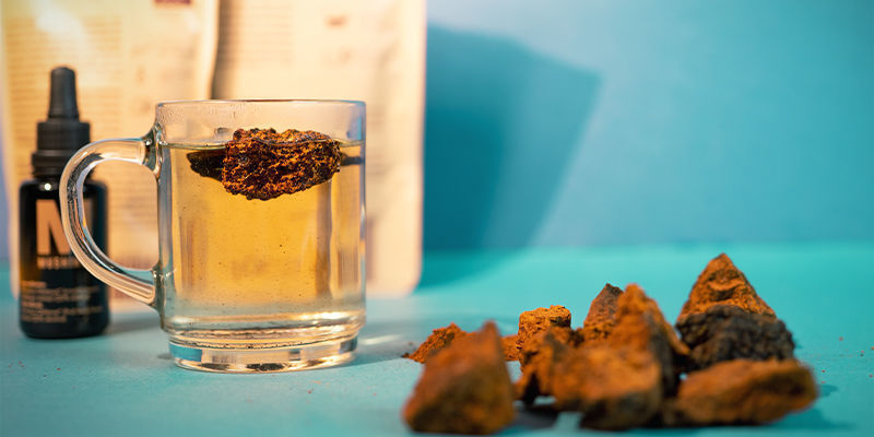 Afrunding — chaga-svampens vidundere Afrunding — chaga-svampens vidundere
