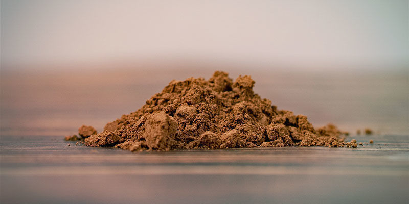 Pulver Reishi Powder