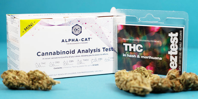 Sådan tester du THC- og CBD-niveauer i cannabisprodukter Sådan tester du THC- og CBD-niveauer i cannabisprodukter