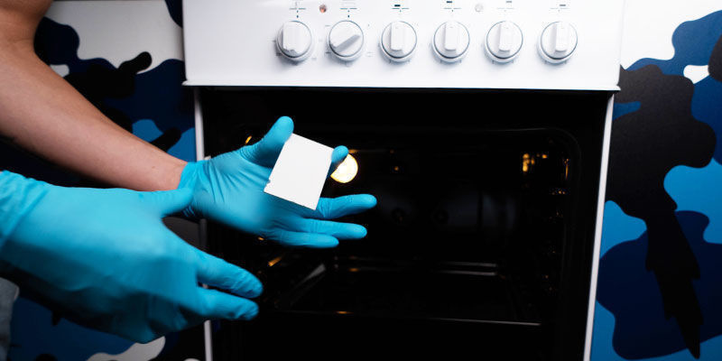 Sæt pladen i ovnen i 40 sekunder Place The Plate In The Oven For 40 Seconds