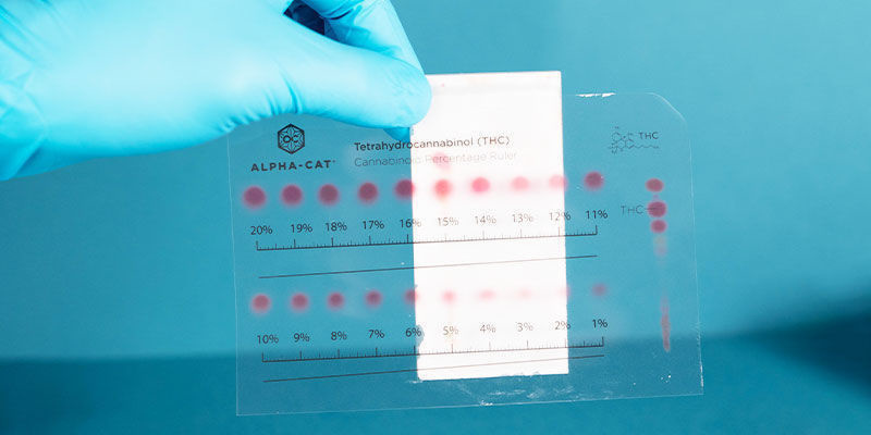 Hvilke cannabinoider kan påvises med Alpha-Cat Cannabinoid Test Mini Kit? Hvilke cannabinoider kan påvises med Alpha-Cat Cannabinoid Test Mini Kit?