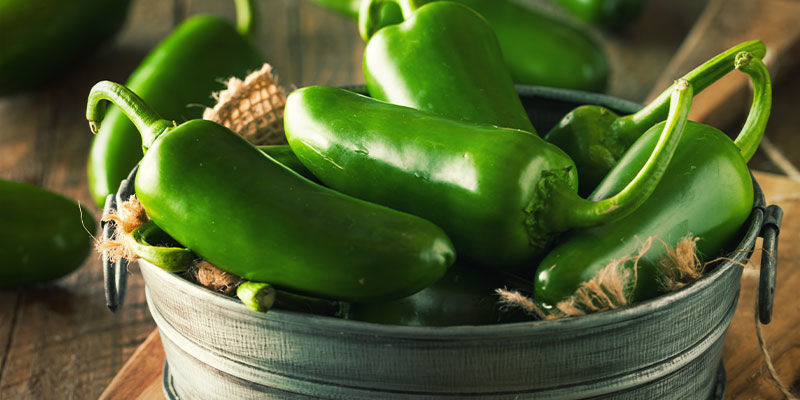 Start dit peberprojekt i dag — kun ét skridt fra jalapeño-himlen Start dit peberprojekt i dag — kun ét skridt fra jalapeño-himlen