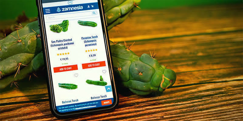 Hvor kan man købe Echinopsis zamnesiana Hvor kan man købe Echinopsis zamnesiana
