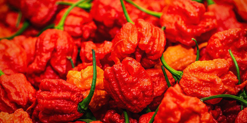 Infinity Chilli: 1.25M SHU Infinity Chilli: 1.25M SHU