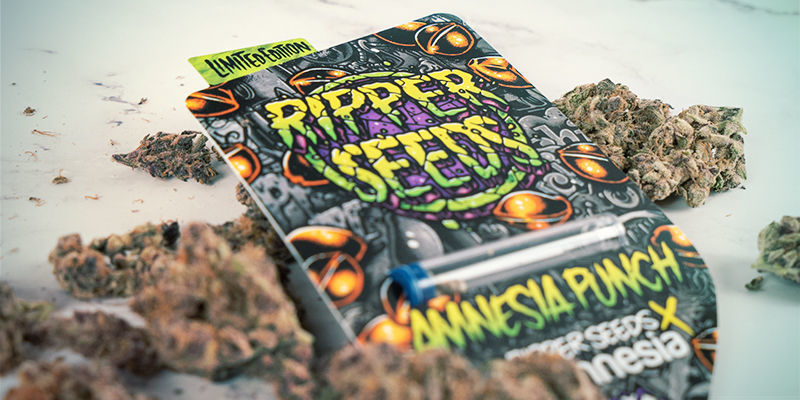 Effekterne af Amnesia Punch Effekterne af Amnesia Punch