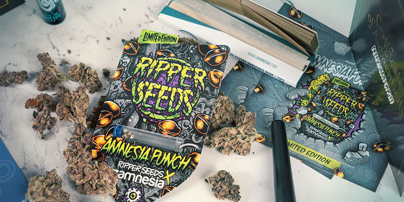 Zamnesia Og Ripper Seeds: Et samarbejde om genetik Zamnesia And Ripper Seeds: A Collaboration Of Cultivar