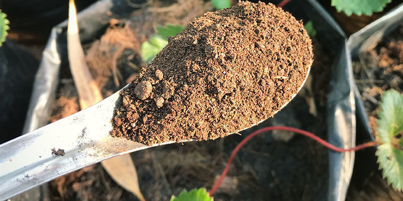 Guano Super Soil Mix Guano Super Soil Mix