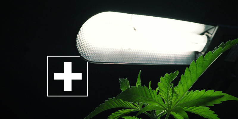 Fordelene ved sidelys til cannabis Fordelene ved sidelys til cannabis