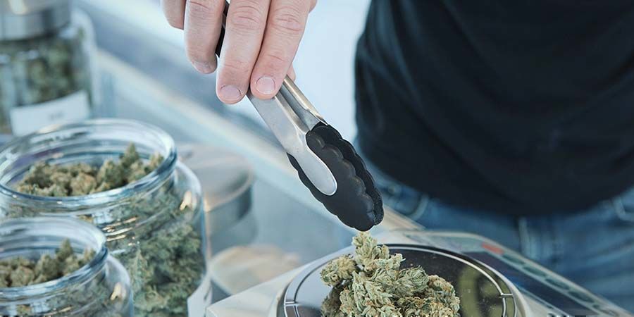 Tilgængelighed Medicinsk vs rekreativ cannabis: Tilgængelighed
