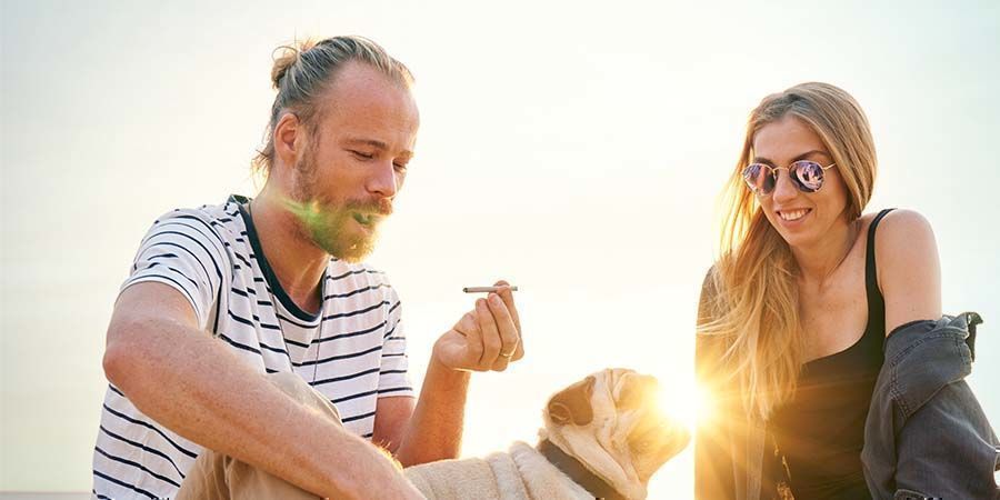 Formålet med brug Medicinsk vs. rekreativ cannabis: Formålet med brug