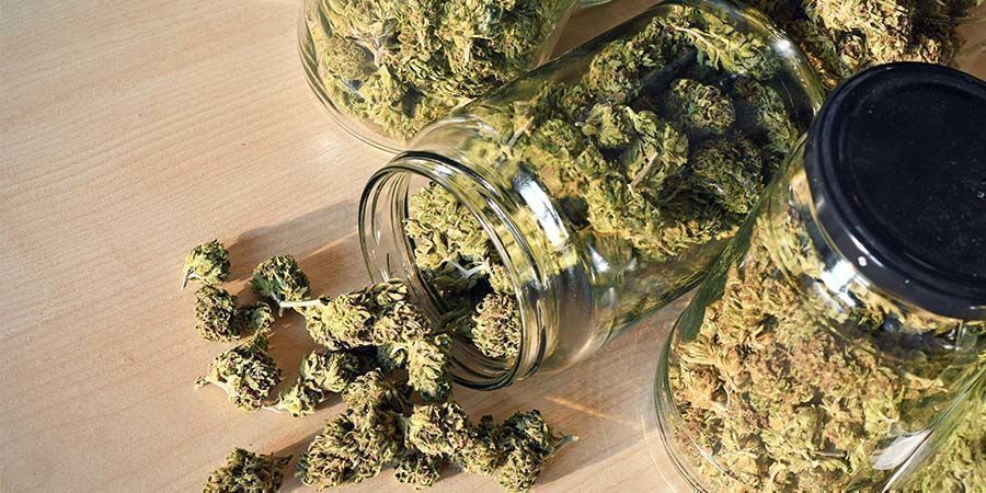 Top rekreative cannabissorter Top Recreational Cannabis Strains
