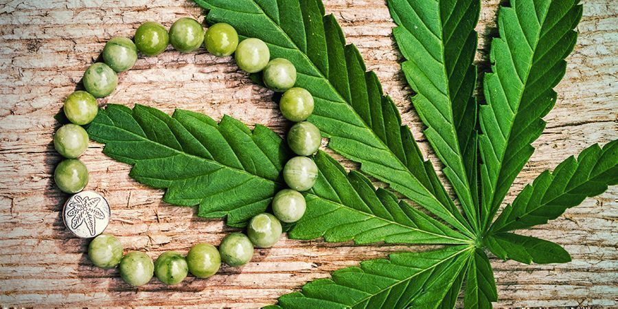 Hamp er hot: En plante med utallige anvendelser Hamp er hot: En plante med utallige anvendelser