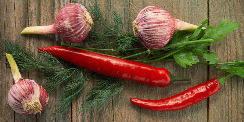 3 ledsagerplanter til chilipeber: urter 3 ledsagerplanter til chilipeber: urter