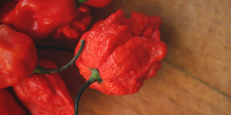 Er du klar til Carolina Reaper? Er du klar til Carolina Reaper?