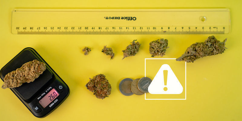 Risici ved at bruge hjemmelavede vægte til at måle cannabis Risici ved at bruge hjemmelavede vægte til at måle cannabis