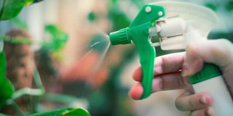 Naturlige pesticider Naturlige pesticider