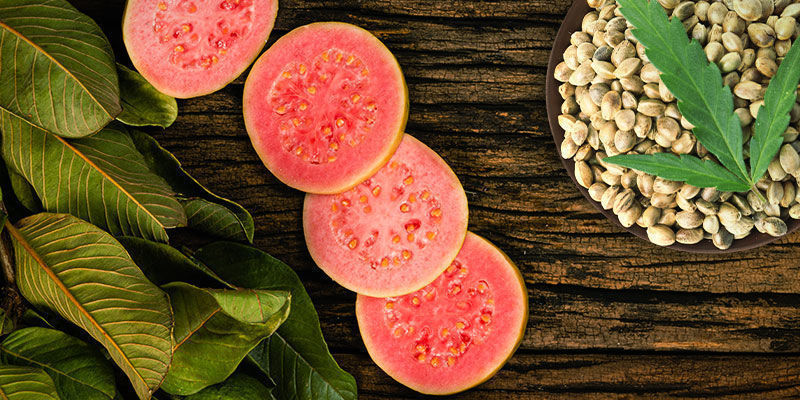 Frosted Guava: Smag og effekter