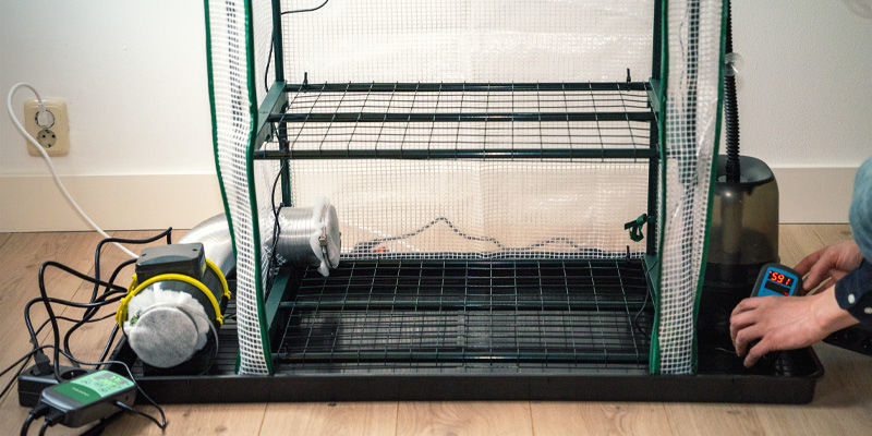 Hvad er et Martha-frugtningskammer? What is a Martha fruiting chamber?