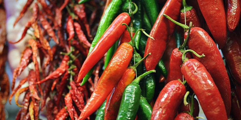 Sådan tørrer du chili og peberfrugter Sådan tørrer du chili og peberfrugter
