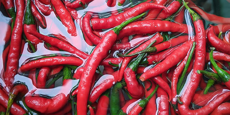 Vask dine chilier grundigt Vask dine chilier grundigt