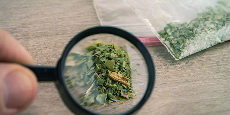 Sure, decarboxylerede og syntetiske cannabinoider: forstå forskellene Sure, decarboxylerede og syntetiske cannabinoider: forstå forskellene