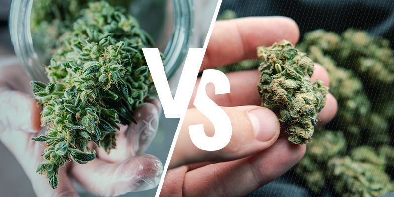 Rå vs. dekarboxyleret cannabis: Hvad er forskellen? Rå vs. dekarboxyleret cannabis: Hvad er forskellen?