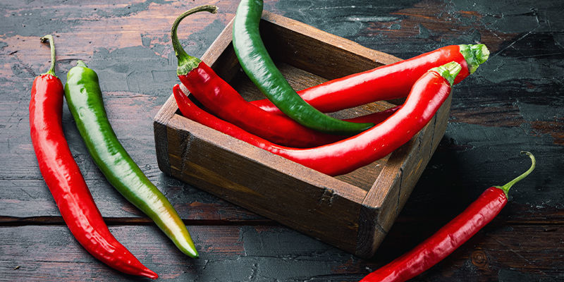 Hvad er en chili? What Is A Chili?