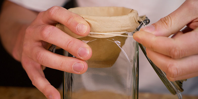 Extraction Extraction