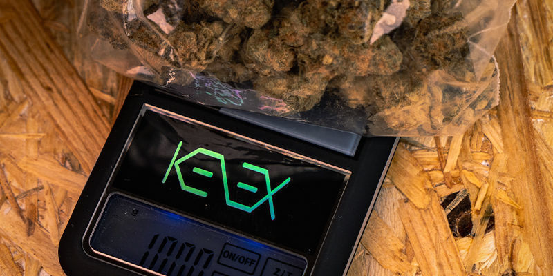 Hvor meget QWISO-hash fra 10 gram cannabis? Hvor meget QWISO-hash fra 10 gram cannabis?