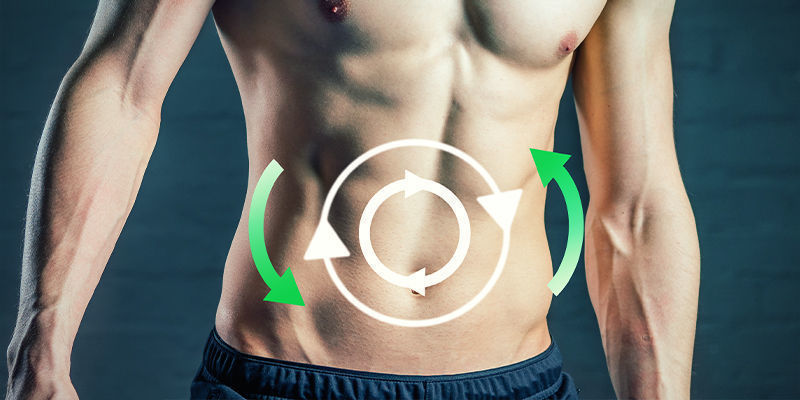 Stofskifte Metabolism