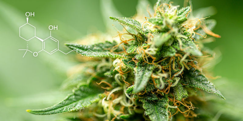 Hvad er hexahydrocannabinol (HHC)? Hvad er hexahydrocannabinol (HHC)?