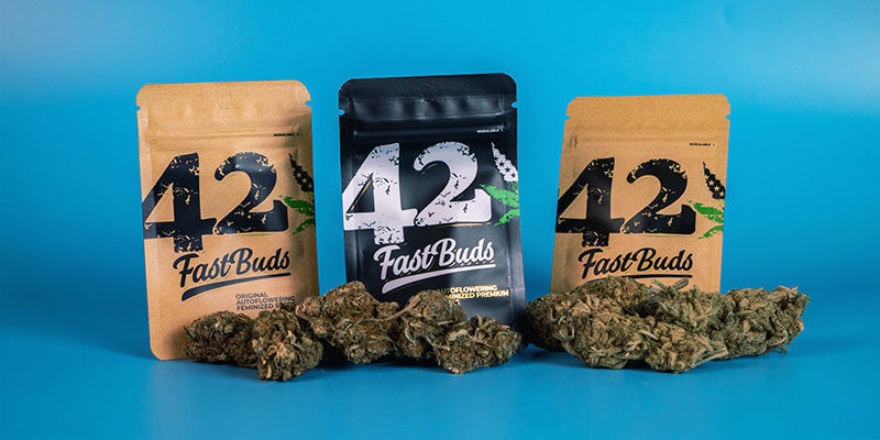 FastBuds Internationale partnerskaber FastBuds international partnerships