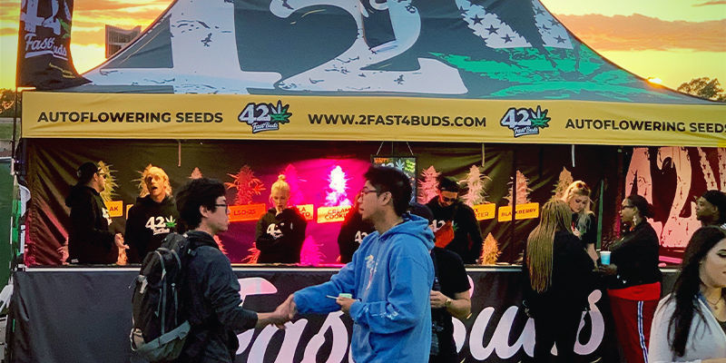 FastBuds’ historie: Fra en garage i USA til Spannabis FastBuds’ historie: Fra en garage i USA til Spannabis