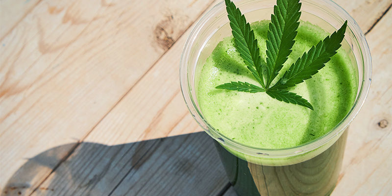 Rå cannabisjuice: en ny måde at indtage på Rå cannabisjuice: en ny måde at indtage på