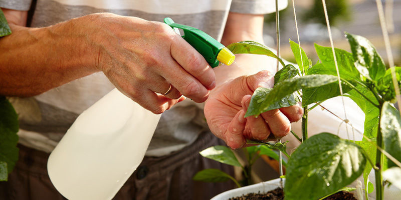 Calcium-bladspray Calcium Foliar Spray
