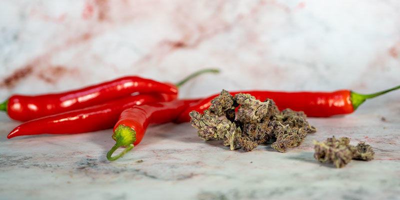 Variation: Cannabis-infuseret chiliolie Variation: Cannabis-infused chilli oil