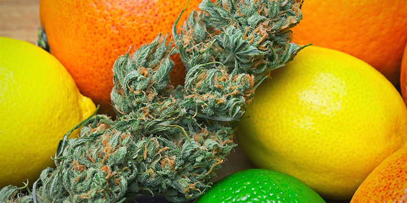 Limonene: Afsluttende ord Limonene: Afsluttende ord