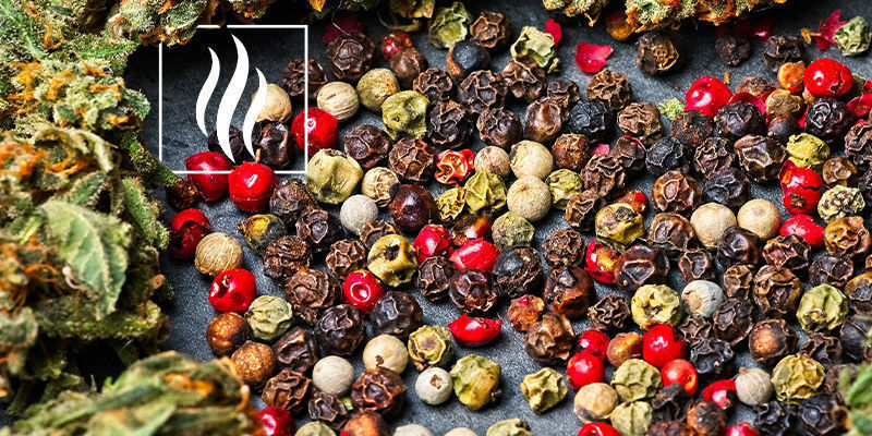 Duft og aroma af caryophyllen Duft og aroma af caryophyllen