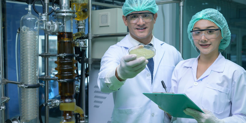 Cannabis-pulver — hvor startede det? Cannabis powder — Where did it start?