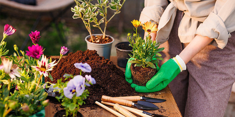 5. Havearbejde 5. Gardening