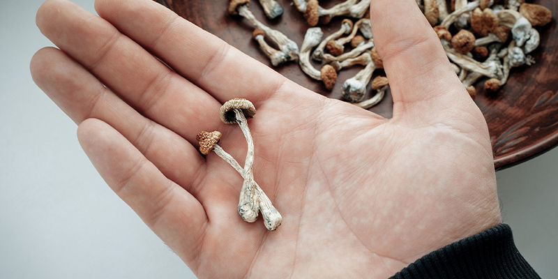 Top Tips Til mikrodosering Top Tips Voor Microdosing